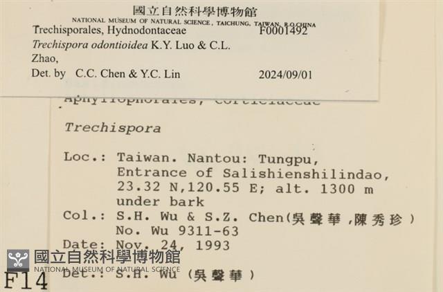 登錄號:F0001492藏品圖，第3張