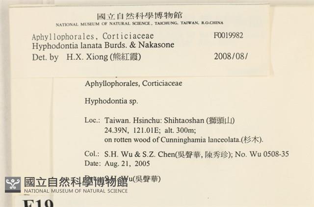 登錄號:F0019982藏品圖，第2張