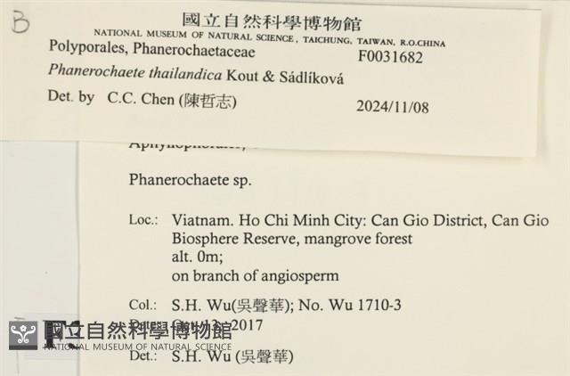 登錄號:F0031682藏品圖，第3張
