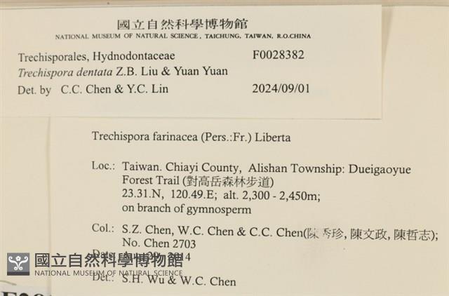 登錄號:F0028382藏品圖，第3張