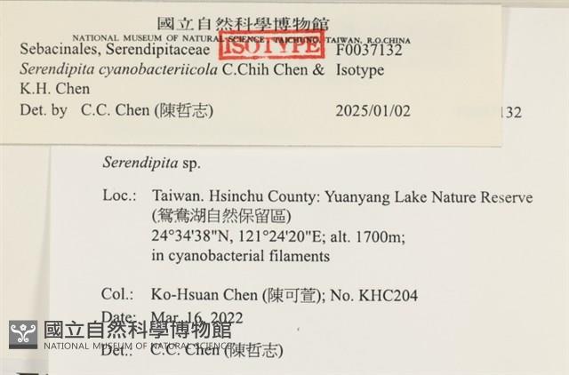 登錄號:F0037132藏品圖，第2張