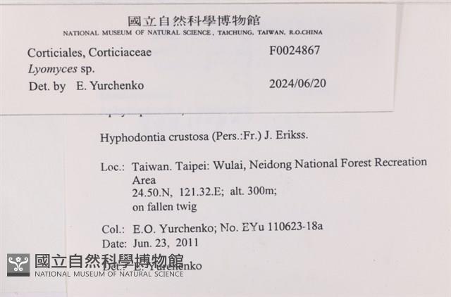 登錄號:F0024867藏品圖，第5張