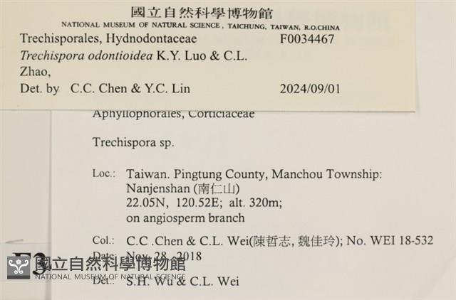 登錄號:F0034667藏品圖，第3張