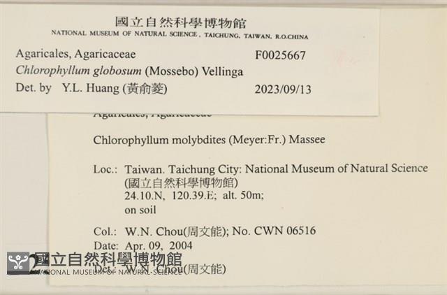 登錄號:F0025667藏品圖，第4張