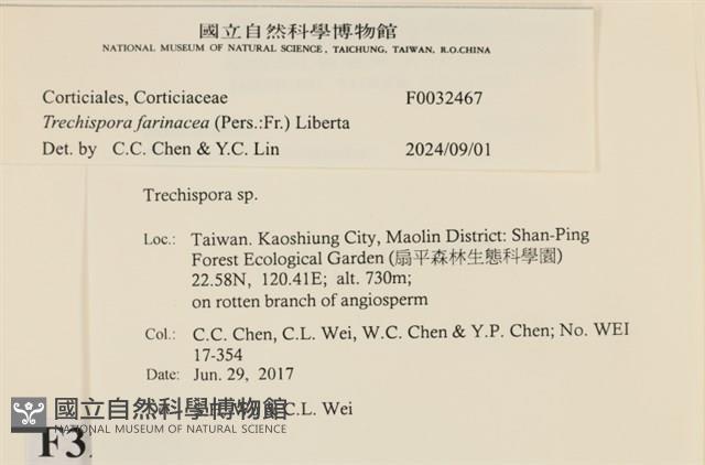 登錄號:F0032467藏品圖，第3張