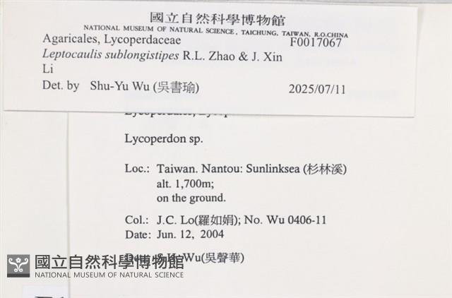 登錄號:F0017067藏品圖，第3張