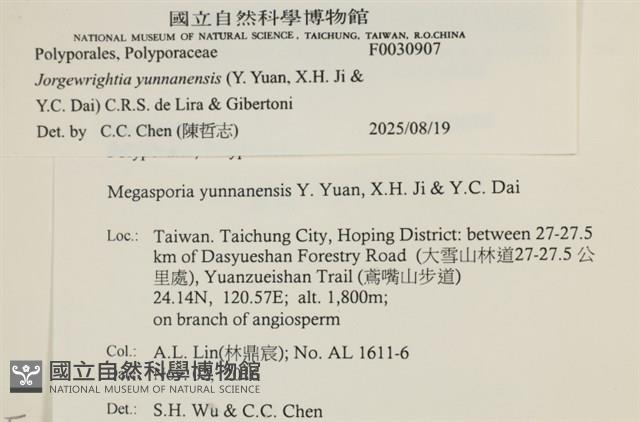 登錄號:F0030907藏品圖，第4張