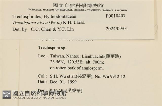 登錄號:F0010407藏品圖，第3張