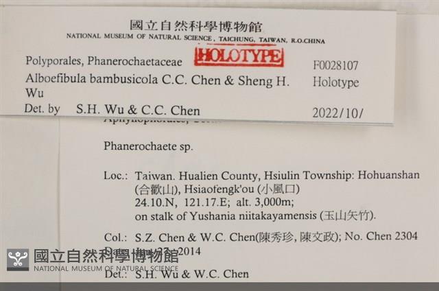 登錄號:F0028107藏品圖，第3張