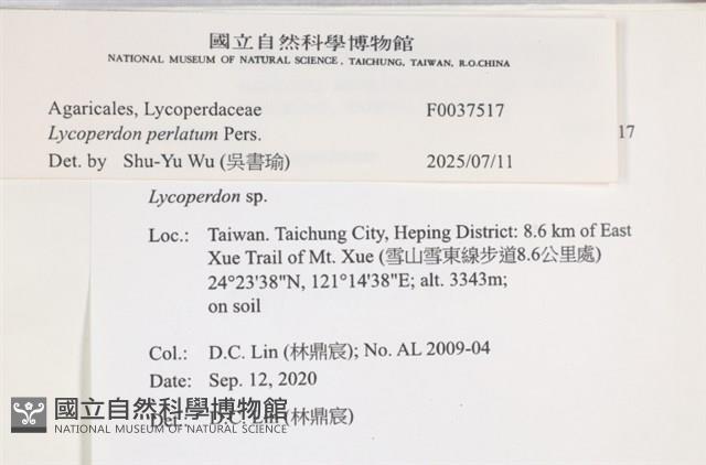 登錄號:F0037517藏品圖，第2張