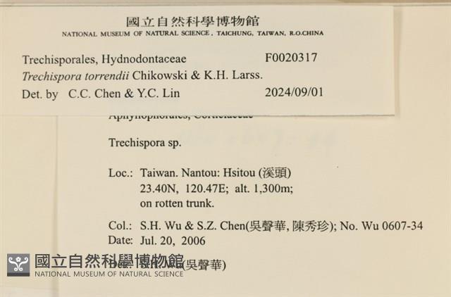 登錄號:F0020317藏品圖，第3張