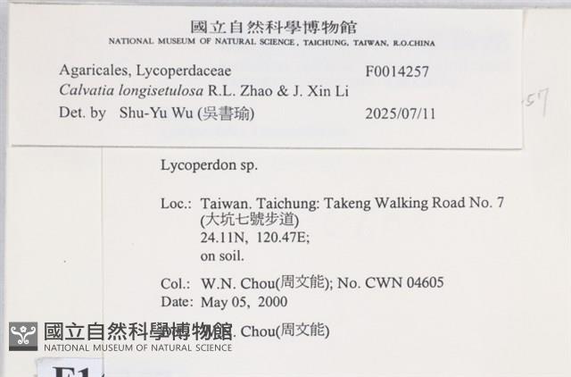 登錄號:F0014257藏品圖，第4張