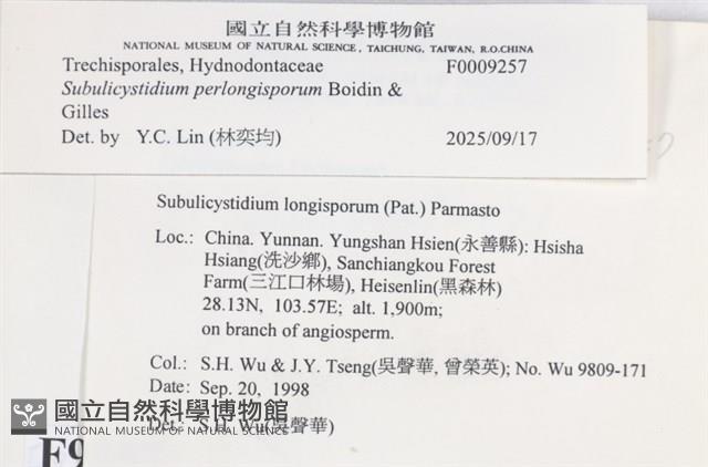 登錄號:F0009257藏品圖，第3張