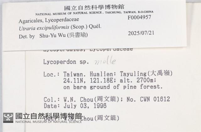 登錄號:F0004957藏品圖，第3張