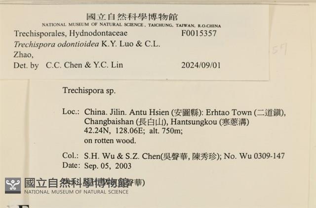 登錄號:F0015357藏品圖，第3張