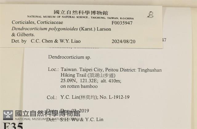 登錄號:F0035947藏品圖，第2張