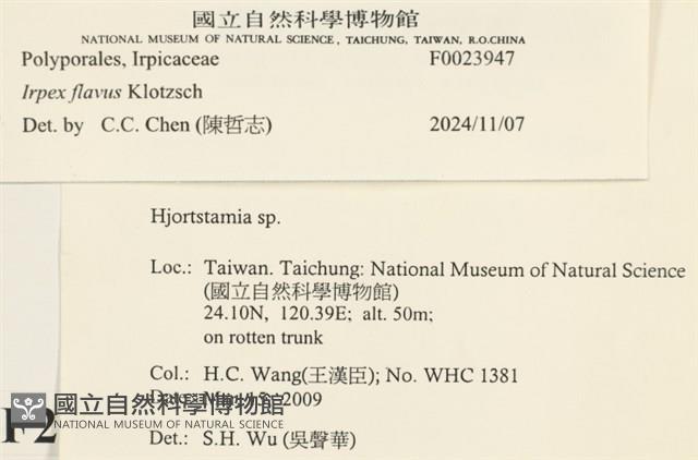 登錄號:F0023947藏品圖，第4張
