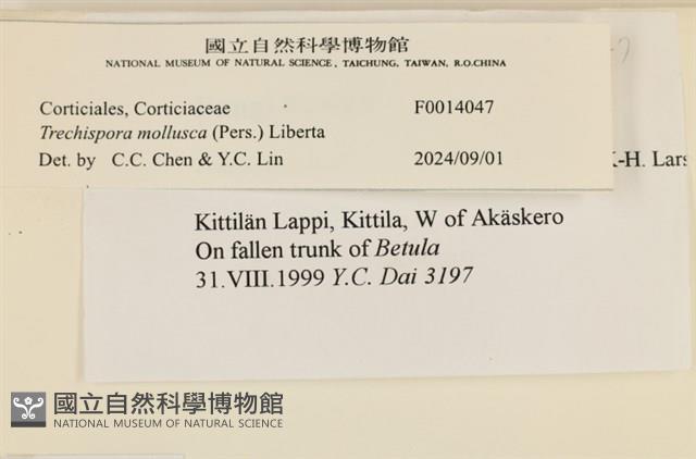 館號:F0014047藏品圖，第4張
