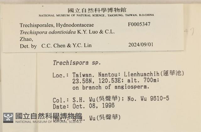 登錄號:F0005347藏品圖，第3張