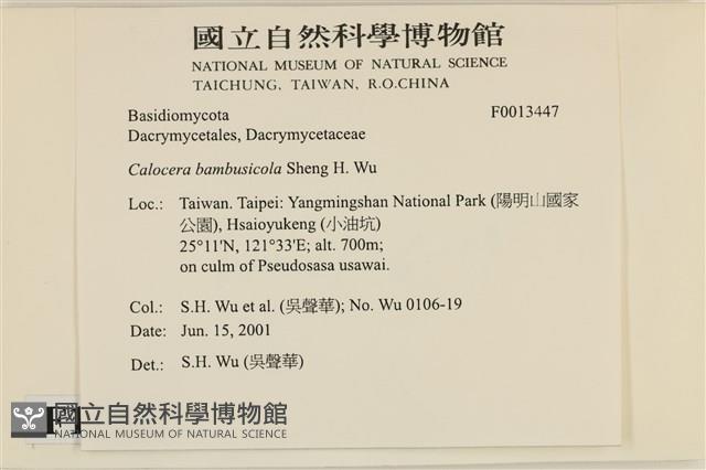 登錄號:F0013347藏品圖，第4張