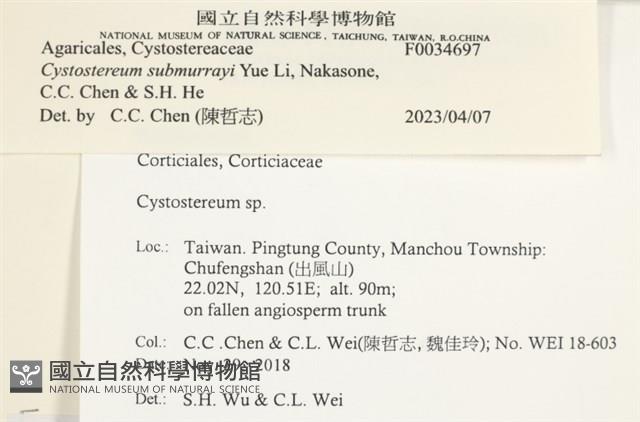 登錄號:F0034697藏品圖，第3張