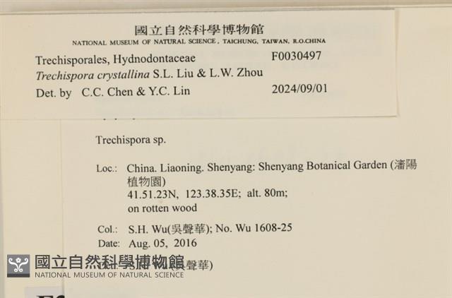 登錄號:F0030497藏品圖，第3張