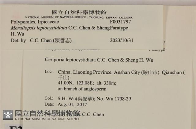 登錄號:F0031797藏品圖，第3張