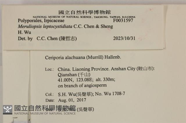 登錄號:F0031597藏品圖，第3張