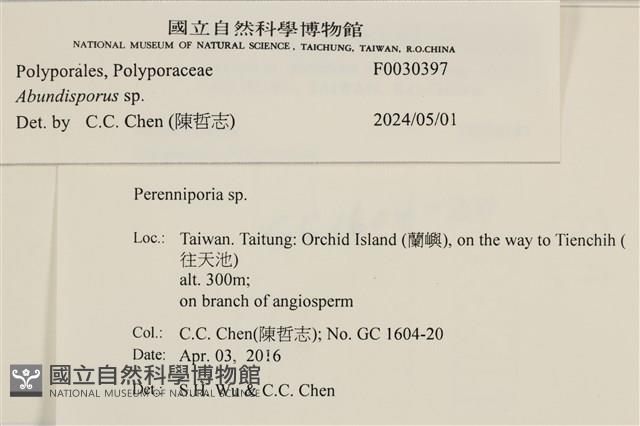 登錄號:F0030397藏品圖，第3張