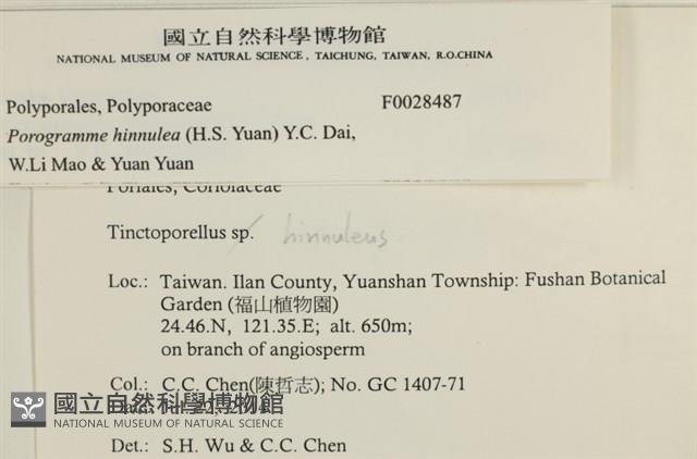 登錄號:F0028487藏品圖，第4張