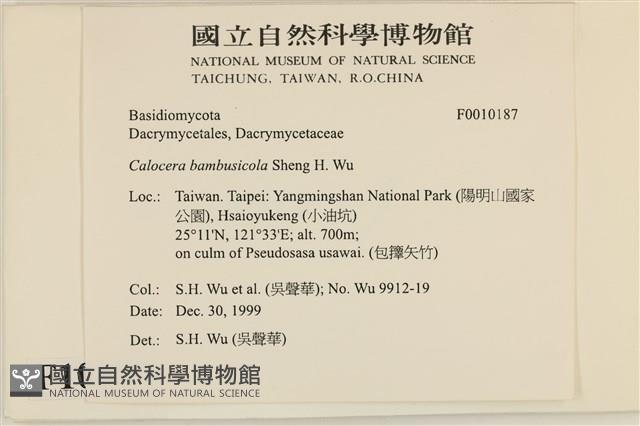 登錄號:F0010187藏品圖，第4張