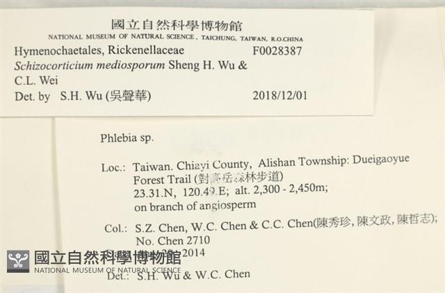 登錄號:F0028387藏品圖，第3張