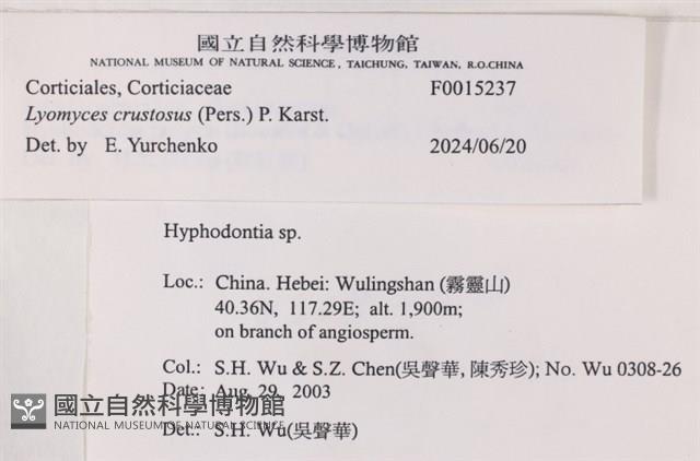登錄號:F0015237藏品圖，第5張