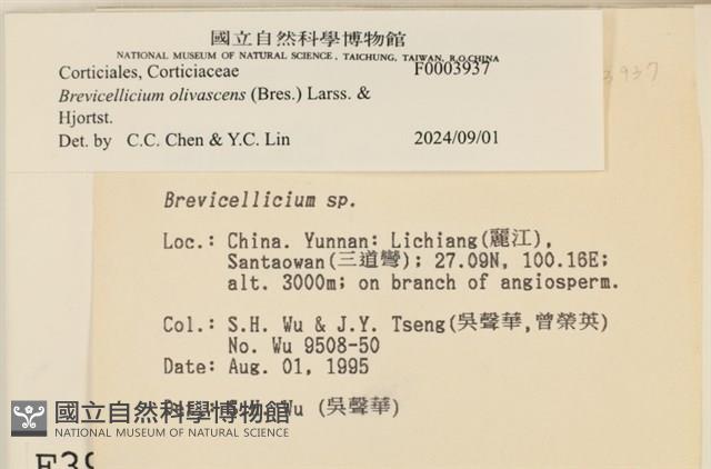 登錄號:F0003937藏品圖，第6張