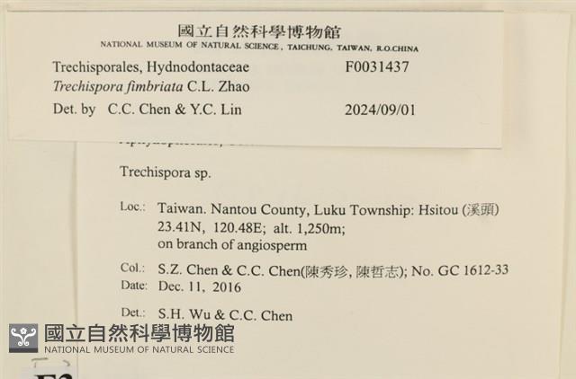 登錄號:F0031437藏品圖，第3張