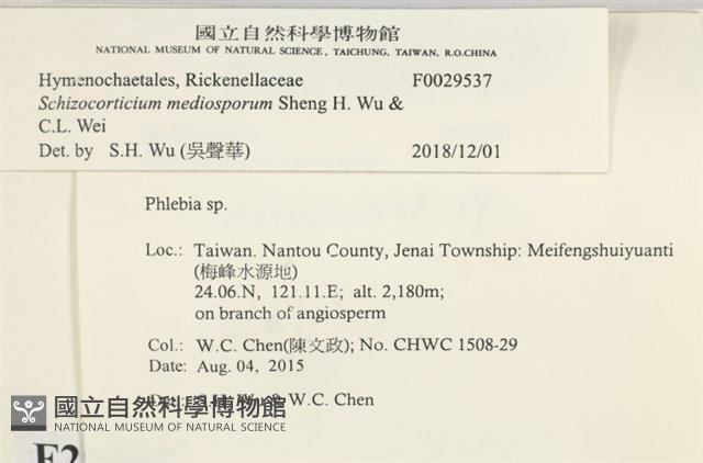 登錄號:F0029537藏品圖，第3張