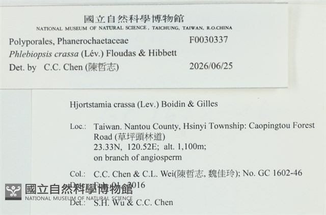 登錄號:F0030337藏品圖，第3張
