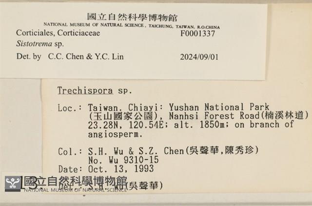 館號:F0001337藏品圖，第4張