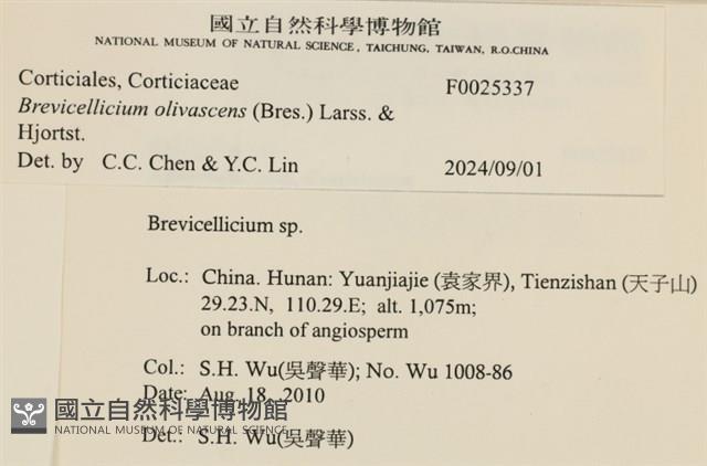登錄號:F0025337藏品圖，第4張