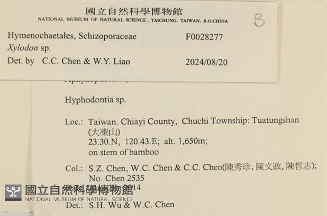 登錄號:F0028277藏品圖，第3張