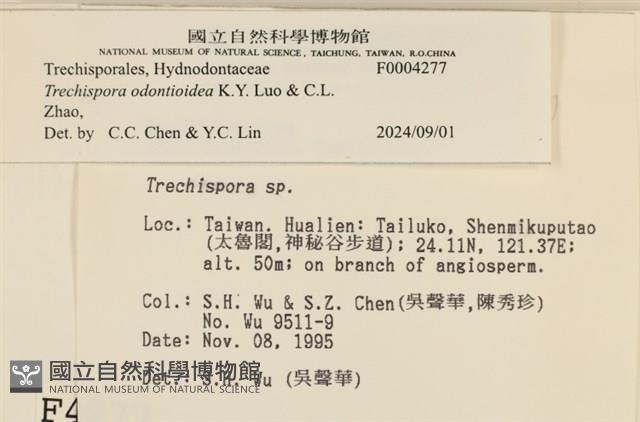 館號:F0004277藏品圖，第3張