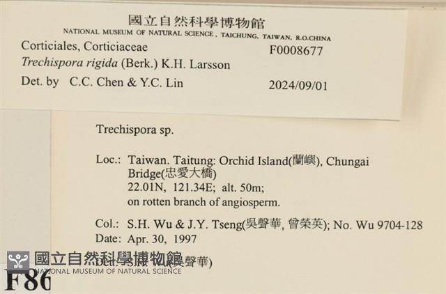 登錄號:F0008677藏品圖，第3張
