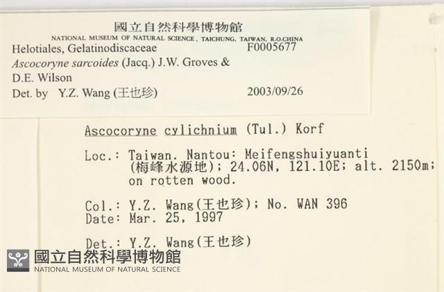 登錄號:F0005677藏品圖，第3張