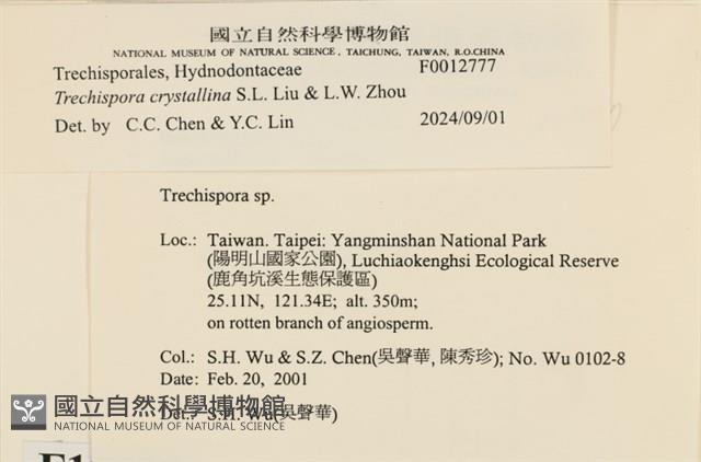 登錄號:F0012777藏品圖，第3張