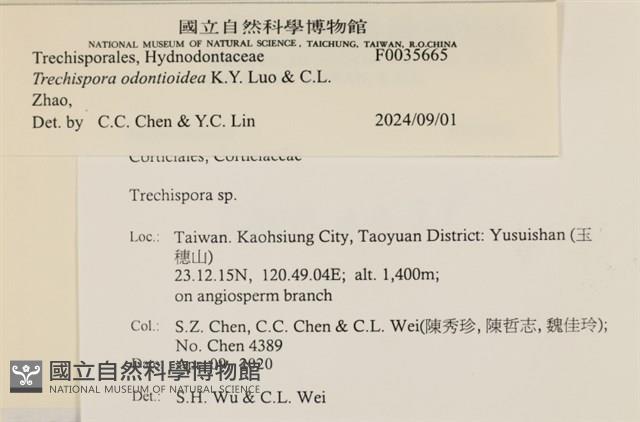 登錄號:F0035665藏品圖，第2張