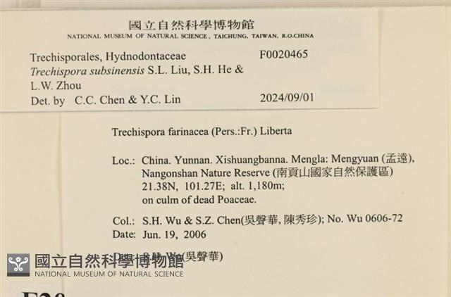 登錄號:F0020465藏品圖，第5張