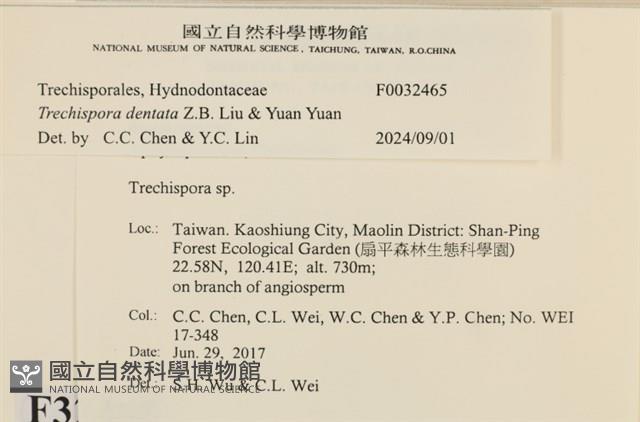 登錄號:F0032465藏品圖，第3張