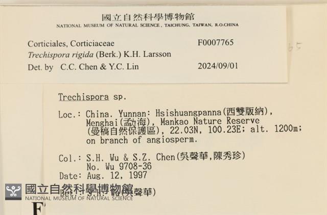 登錄號:F0007765藏品圖，第4張