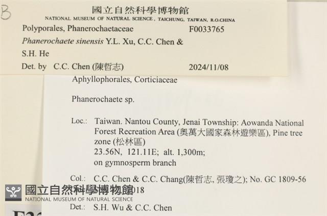 登錄號:F0033765藏品圖，第3張
