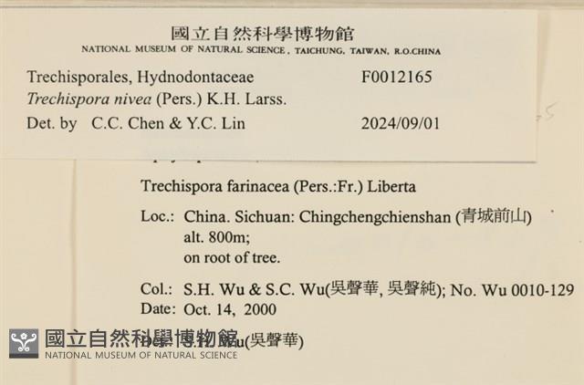 登錄號:F0012165藏品圖，第3張